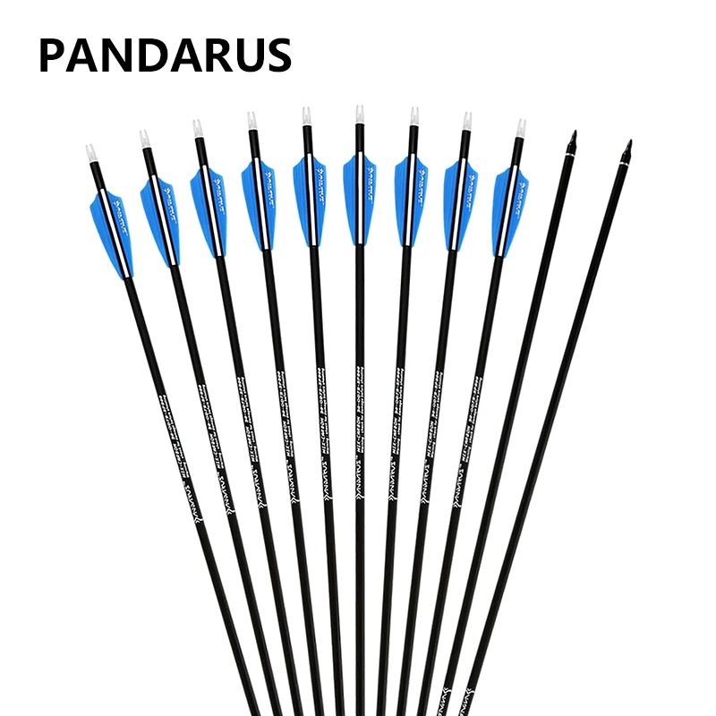 30-inch PANDARUS Archery Carbon Practice Arrows