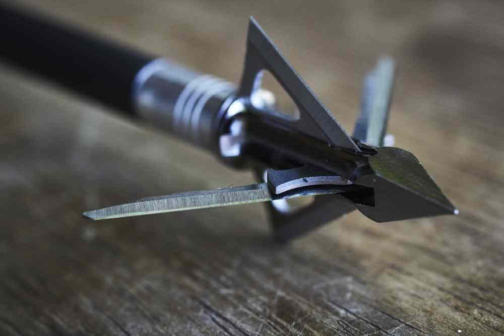 Top 8 Best Fixed Blade Broadhead Reviews RTTO