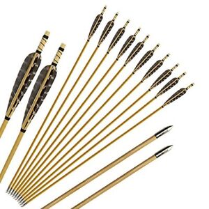 Huntingdoor Wooden Arrow Turkey Feather Fletching Target Arrows