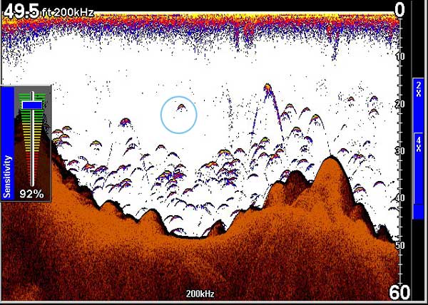 What Is a Humminbird Fish Finder