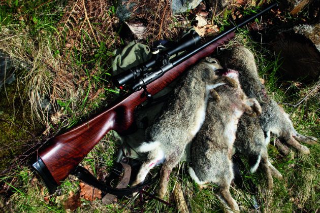 How To Choose A Rabbit Hunting Rifle
