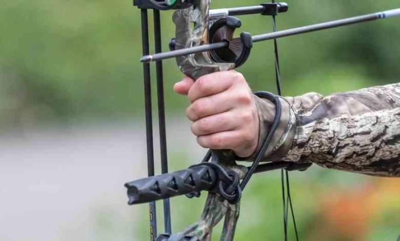 Best Beginner Compound Bow