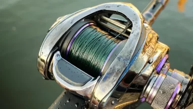 Photo of Best Braided Fishing Line Review