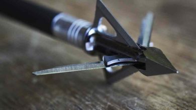 Photo of Top 8 Best Fixed Blade Broadhead Reviews