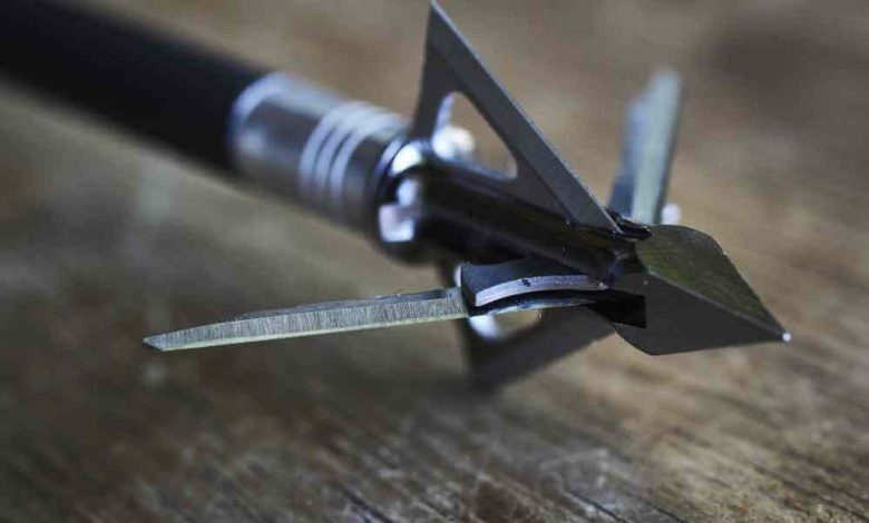 Best Fixed Blade Broadhead