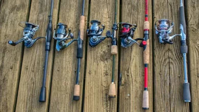 Photo of Best Spinning Reel For The Money