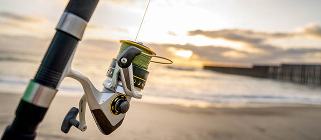 Best Surf Fishing Rods