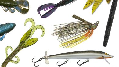 Photo of The 10 Best Bass Lures For Fishing