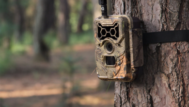 Photo of The Best Trail Camera Review & Buyer’s Guide