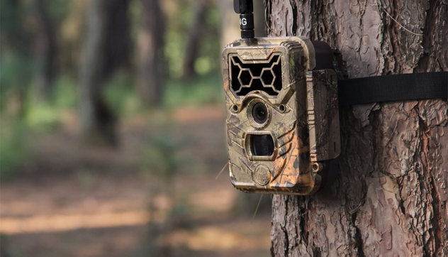 The Best Trail Camera