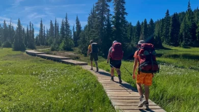 Photo of Backpacking for Beginners – The Ultimate Guide